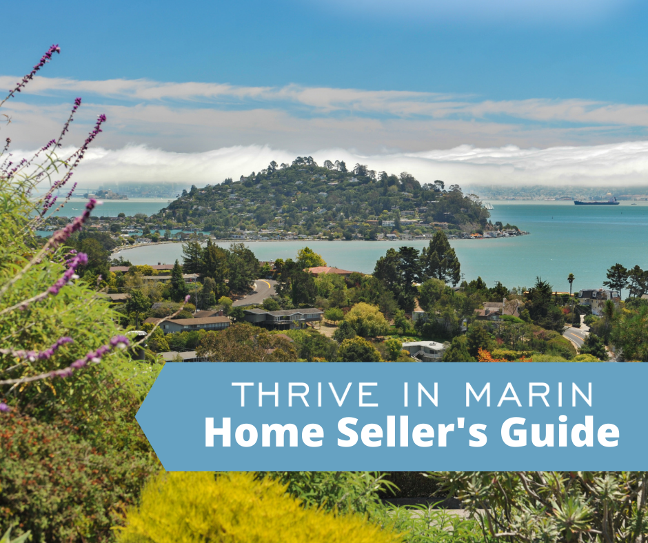 An island of homes is pictured in the background. A blue arrow located in the bottom right-hand corner reads Thrive in Marin Home Seller's Guide in white text.